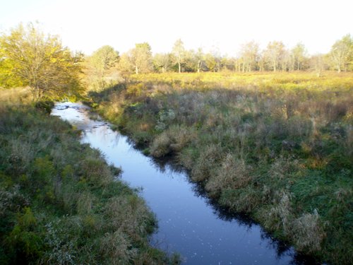 Property photo 6 - 202+/- Acres Offered in 7 Tracts